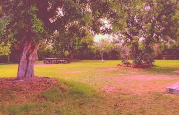 Cantinho Azul - Tavira Garden - Foto 34