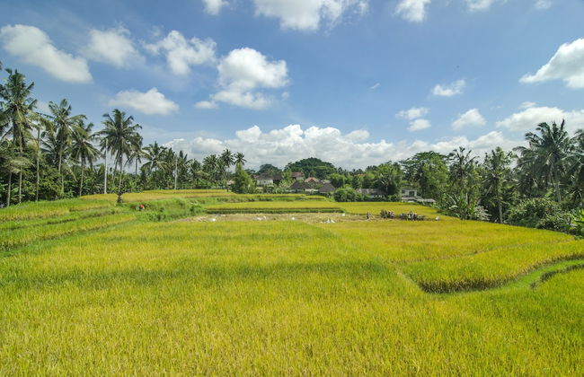 Danakha Villa Ubud - Foto 45