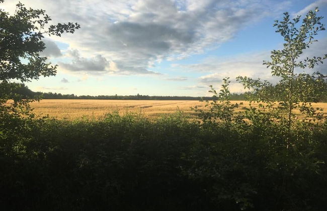 EMDA country living close to Legoland. - Foto 24