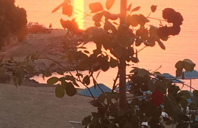 Argento Plazzo Hotel Bodrum - Foto 63