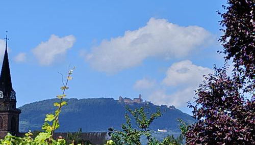 Le Nid Douillet de Bergheim - Foto 4