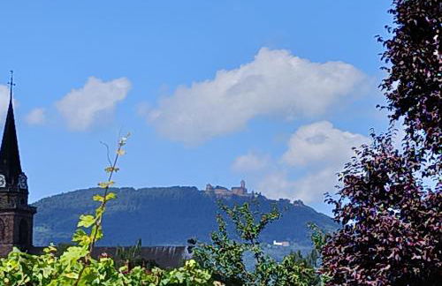 Le Nid Douillet de Bergheim - Foto 4