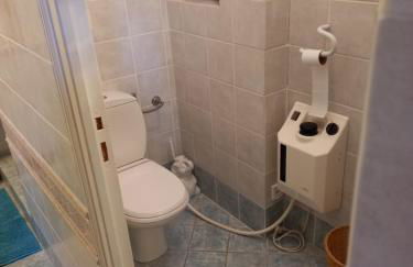 le héron cendré - Foto 17