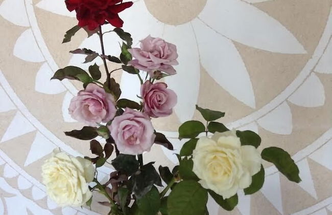 Kyveli Apartments - Foto 8