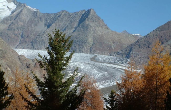 Amici 1. OG West - Foto 14