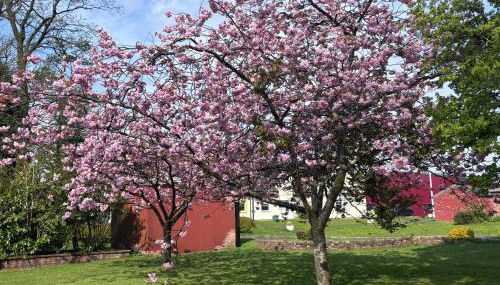 Cunninghame 2 - Foto 3