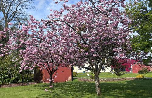 Cunninghame 2 - Foto 3