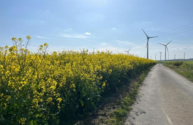 Quaint Apartment in Kaifenheim near Forest - Foto 33