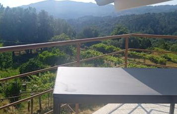 Casa Vinograd - Foto 24