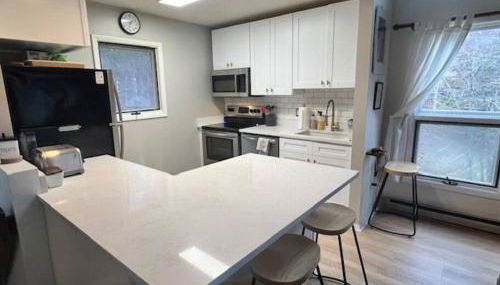 Hunter Mountain Slope Side Home - Foto 4, stove