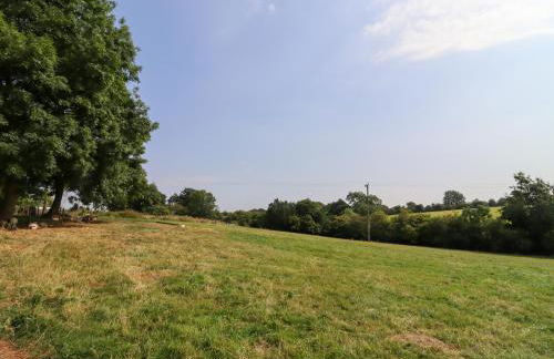 The Shires at Bickerscourt - Foto 30