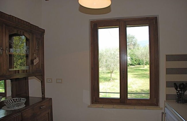 Tenuta San Savino delle Rocchette - Foto 41