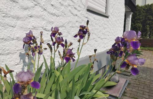 Ferienwohnung Magnolie in Langenargen - Foto 22