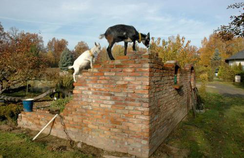 Chata na Zielonym Wzgórzu - Foto 76