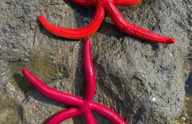 Dammuso Specchio del Cielo - Foto 10