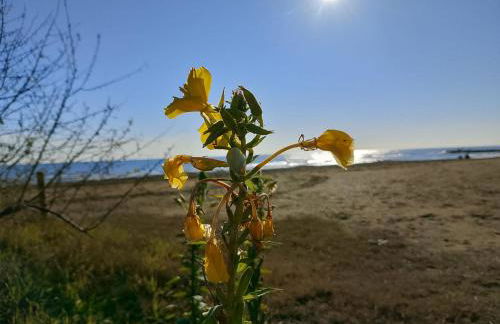 Villa Trifoglio - Foto 37