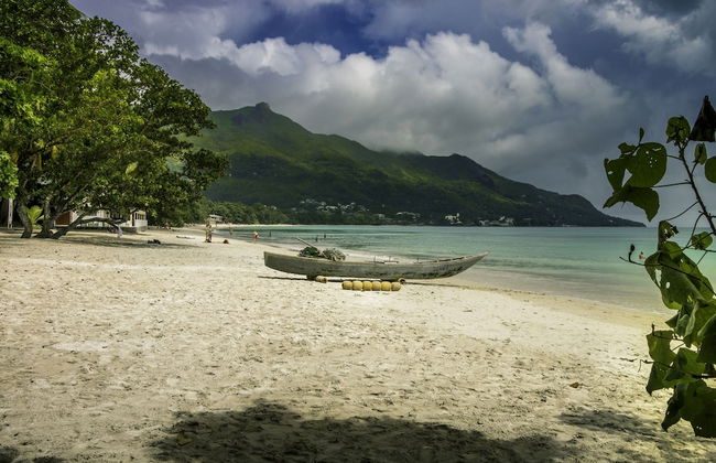 Tropical Hideaway - Photo 38