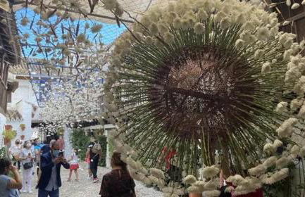 FUENSANTA 19 - Foto 50