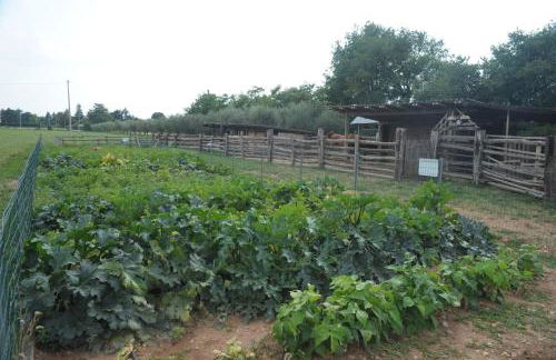 Agriturismo Sol De Montalto - Foto 40