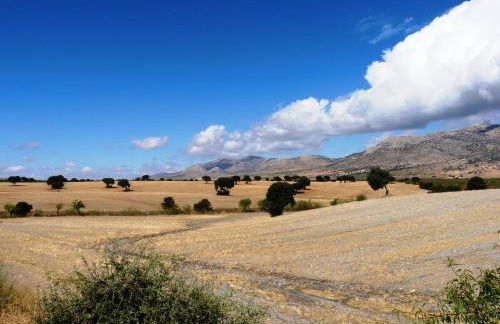 Cortijo La Estrella - Foto 22