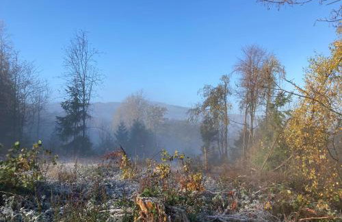 Gittas Paradiesperle - Foto 31