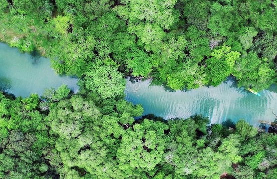 8 Son's Geronimo - Birdhouse Cabin - Foto 66