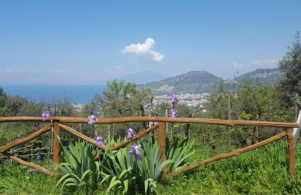 Gli Ulivi Agriturismo - Foto 48