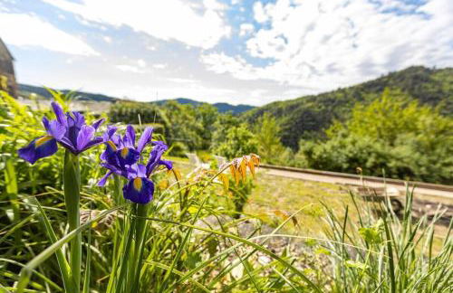 Les Hôtes du Chataignier - Foto 13