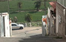 alisios loft - Foto 35