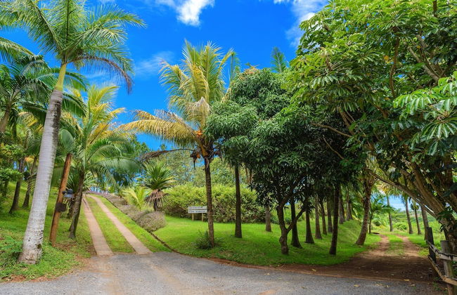 La Vieille Cheminee - Photo 52