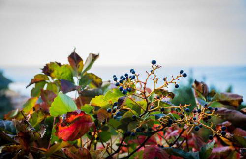 Villa Aris - Photo 50