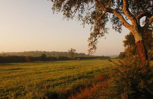 Quinta do Archino - Foto 17