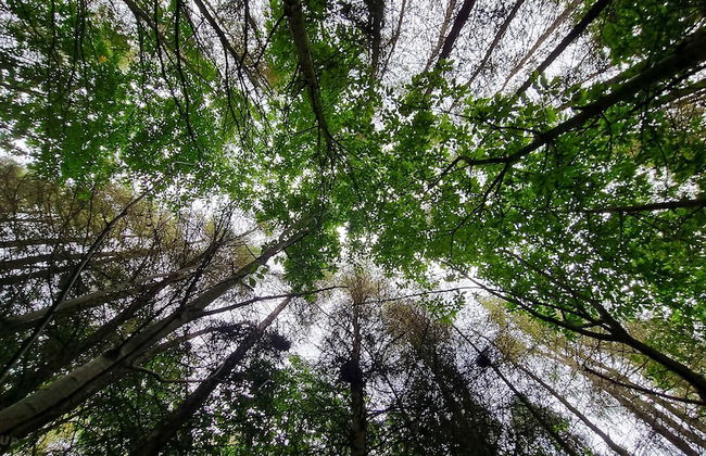 North Norfolk Glamping - Foto 16