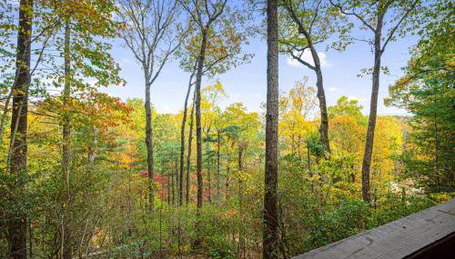 Quiet Ellijay Cabin 2 Master Ensuites, Stunning Views, Hot Tub, Dogs Welcome - Foto 3