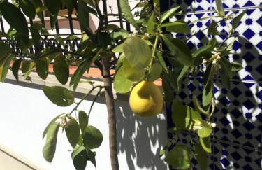 La Torre Alba - La Finca Golf Resort - Foto 31