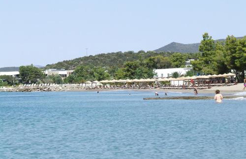 Ktima Develekou - Foto 44