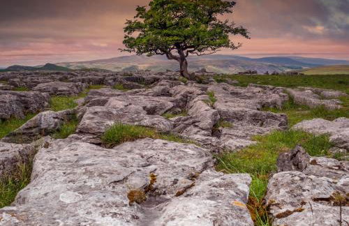 Winskill Cottage - Foto 24