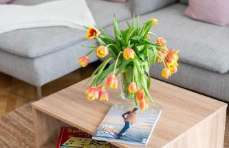 KAISER 02 by ROCKCHAIR Apartments l SUPERHOST Status l 3 Bedrooms Boxspringbeds 2 Bathrooms l Cozy Family & Business Flair 155 sqm 3 Balcony 2nd Floor Elevator up to 10 guests welcomes you! - Foto 44