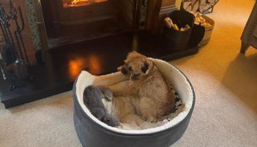 The Grange, Northill - Foto 4