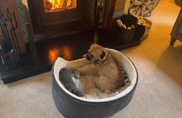 The Grange, Northill - Foto 4