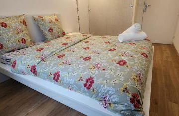 Dujardin Home - Foto 56