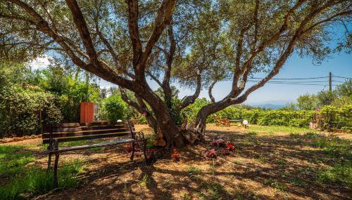 Villa Silva, Garden & Sea View, 3 BR, -10 min drive from center - Foto 3, Garden, Garden view