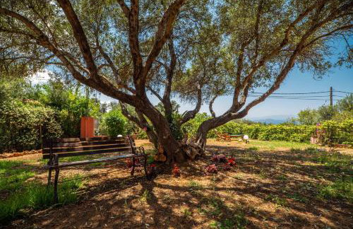 Villa Silva, Garden & Sea View, 3 BR, -10 min drive from center - Foto 3