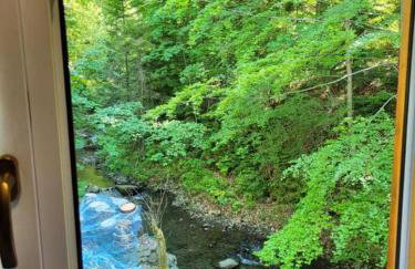 Duży drewniany domek nad rzeką, Obidza 381, Łącko - Foto 41
