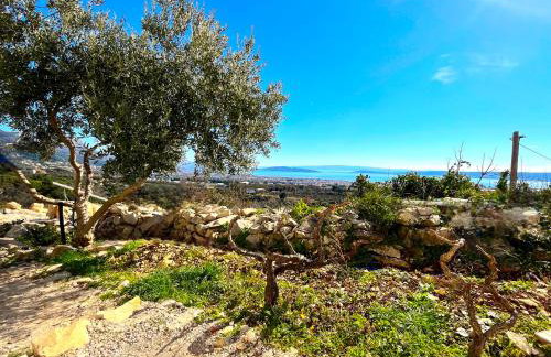 Villa Bepina, surrounded by sea, olive, vineyard - Photo 26