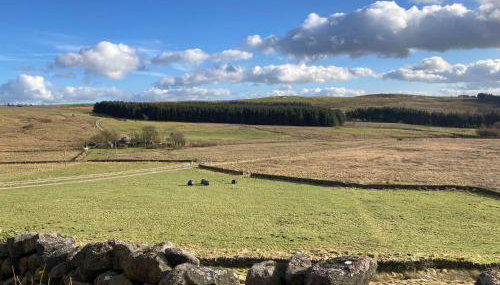 Anroach Farm House in The Peak District(sleeps 20) - Foto 3, Garden, Garden view