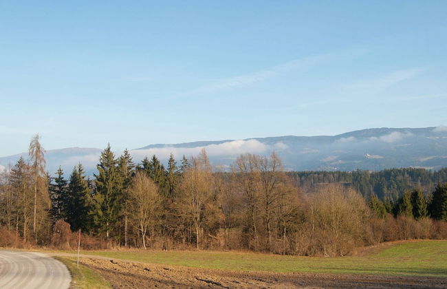 Apartment in Neuhaus Near Petzen Ski Area - Foto 27