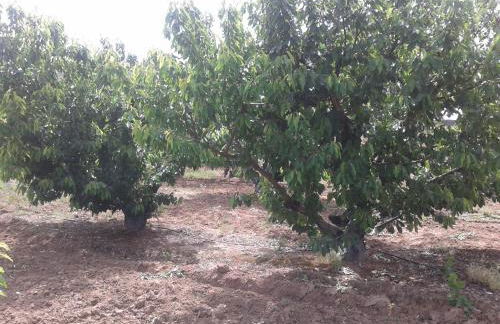 Casa Rural la Vallejera - Foto 82