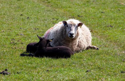 East Ayrlow Banks - Photo 9