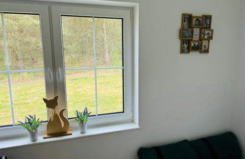 Łąkowy Zakątek Rybakowo - Foto 16